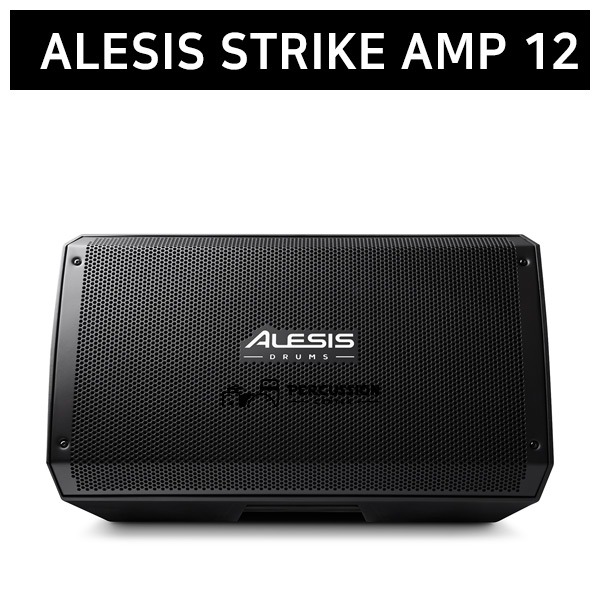 Alesis알레시스 스트라이크 앰프 12 ALESIS Strike Amp 12 전자드럼용 스피커 공식대리점